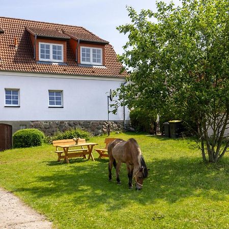 Ferienwohnung "Flori'S Ponyhof" Kropelin Exterior photo